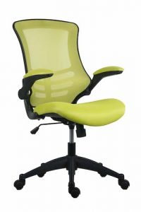 Marlos Mesh Back Office Chair